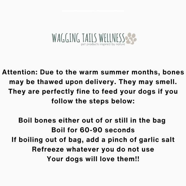 4" Femur Bones w/ Marrow