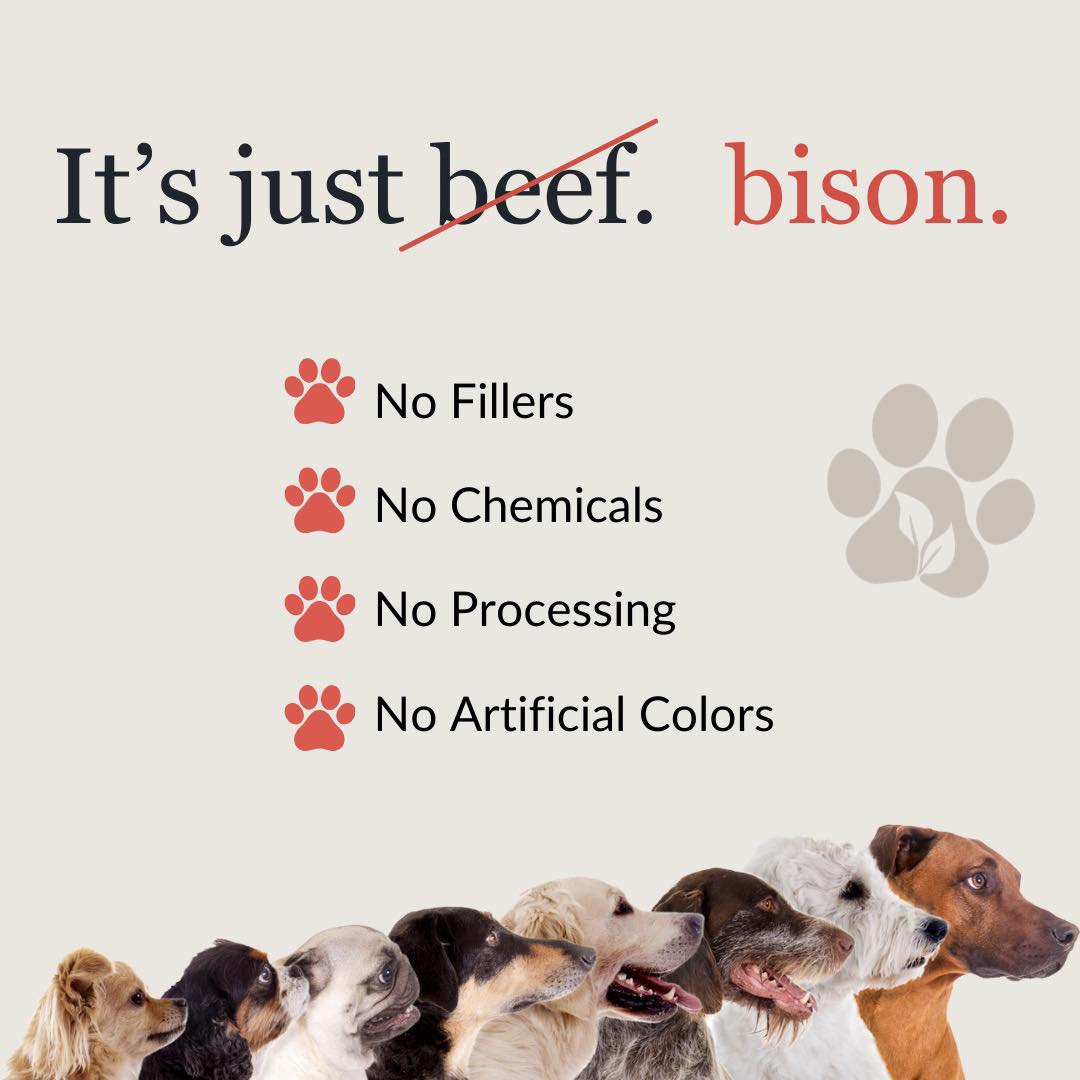 Ground Bison